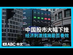 专家解读中国股市暴涨后大幅下挫丨ABC中文