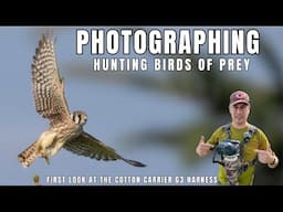 Bird of Prey Photography | Autumn Meadow Hunting Falcons using Canon R3 & Cotton Carrier G3 Harness