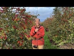 Floret Farm Tour: Crabapples