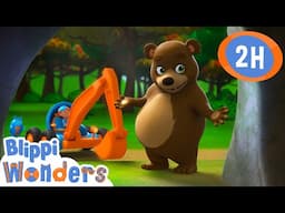 Bear Hibernation | Blippi Wonders | Preschool Learning | Moonbug Tiny TV