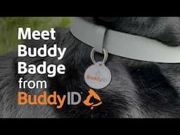 BuddyBadge® Collar Tag from BuddyID®