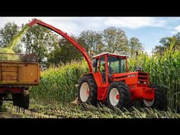 Oldtimer Hakseldag Dalen 2024 | Classic maize harvesting | Dozens of tractors & choppers!