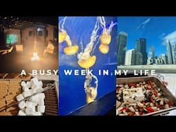 A Busy Week In My Life | Birthday Celebrations and Every Day Moments | VLOG