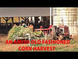 AMISH LAND Corn Silage Harvest THE OLD FASHIONED WAY in Lancaster County Pennsylvania