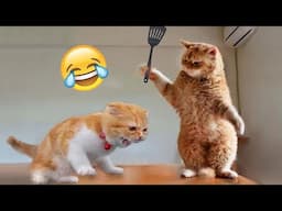 Funniest Animals 2023 😅Best Cats and Dogs Videos 🐶😹 Part 20