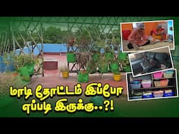 நம்ம மாடித்தோட்டம் இப்போ எப்படி இருக்கு..?! | இன்னைக்கு கடைக்கு போகல 😔 | RK Family Vlogs