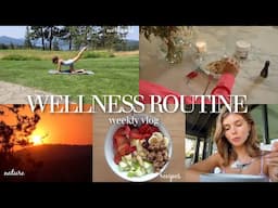 my wellness routine pt. 3