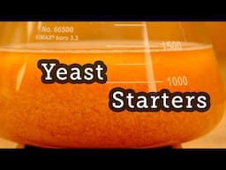 Yeast Starters - The Modern Homebrewer