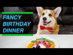 Corgi Eats Raw Dog Food Birthday Cake