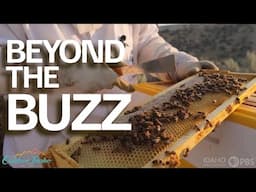 IDAHO BEES | Outdoor Idaho