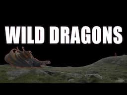 🧙 The Mysterious Wild Dragons #houseofthedragon