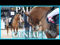 LE DERBY DE PAU ! CCI 5* AUX COTÉS DES PLUS GRANDS - Ace a été magique !