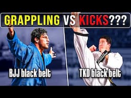 Who Wins? TAEKWONDO Black Belt Or BJJ Black Belt