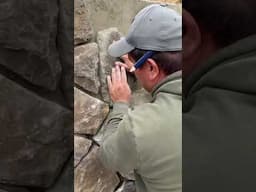 Revestimiento con Piedra