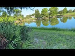 US Florida #nature #usa #naturalbeauty #green grass#lake