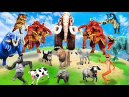 10 Mammoth Elephant Cow vs 10 Tiger Lion Dinosaur Bull Attack Baby Elephant Saved By Woolly Mammoth