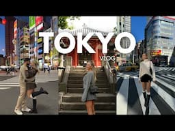 3 days in TOKYO ( 3D cafe, temples, Shibuya, and more)