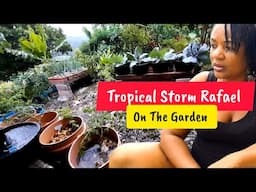 Tropical Storm Rafael On The Garden || Devastating Flood Rains