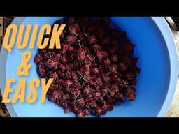 New Fast Way to Remove Sorrel Seeds