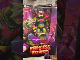 Leech Masters Of The Universe Princess Of Power