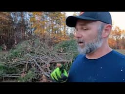 INSTANT DANGER! Timber Harvest Almost Got Me Today!  (Bluetti Elite 200)