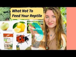 Do Not Feed Your Reptiles These Foods!