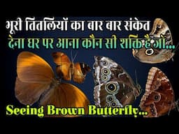 भूरे रंग कि तितलियां किस दिव्य शक्ति का प्रतिक है Seeing Brown Butterfly Spiritual Meaning In Hindi