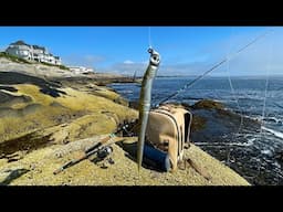 Exploring New Waters In Maine - Surf Fishing for what ever bites and Lobster Roles!