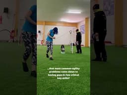 Join a free webinar on strengthening skills to solve common problems in dog agility! #agilitydog