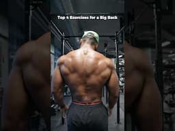 4 Exercises to Build a BIG back #shorts #backworkout