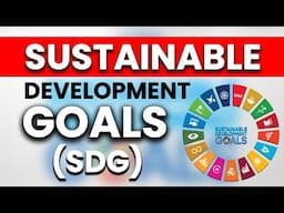 Sustainable Development Goals (SDGs) Explained In Less Than 30 Mins| Ecoholics