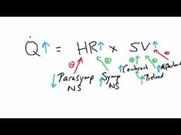 Cardiovascular System - HR and SV regulation