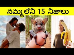 Top 15 Interesting Facts In Telugu | Amazing Telugu Facts | Unknown Telugu Facts Ep-81 |CTC Facts