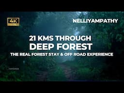 21 Kms Through Deep Inside Forest | Nelliyampathy Forest Stay | Vlog#81