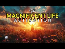 The Magnificent Life Activation