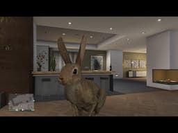 GTA 5 Online : EXCLU GLITCH BIG lapin couine couine en online