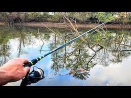 Creek Fishing For MY LUNCH!! (Cold Weather Fishing)