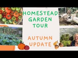 Homestead Autumn Update 2024