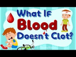 What If Blood Doesn’t Clot? | Learn with Animations Why Clots Matter! How Does Blood Clot?