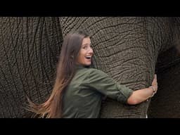 I Hugged the LARGEST Elephant in the World