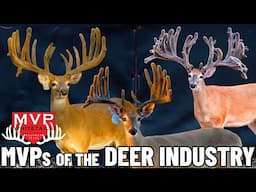 The Most Valuable Bucks with the Most Valuable Pedigrees!