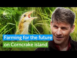 Farming for the future on Corncrake island | RSPB