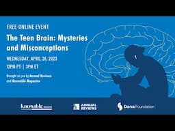 The teen brain: Mysteries and misconceptions