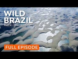 Brazil's Coastline | Wildlife from Snake Island to Lençóis Maranhenses | Nature Documentary