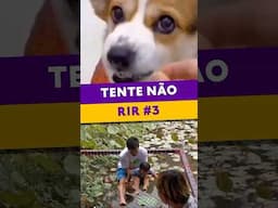 Tente Não Rir! Aceita o Desafio? #3