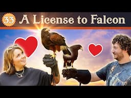 Should We Become Falconers?