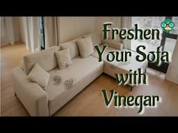 How to Clean Fabric Sofa with Vinegar? How to clean fabric sofa at home?