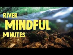 Take a minute and relax by the river | Mindful minute | WWT