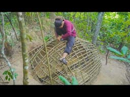 Girl Living Off Grid build a Shelter Out of Nothing But Mud