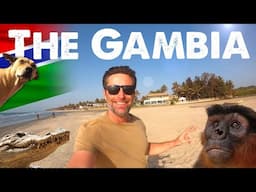 The Gambia - Is it worth visiting? 🇬🇲